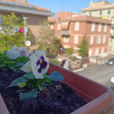Gemelli Garden House
