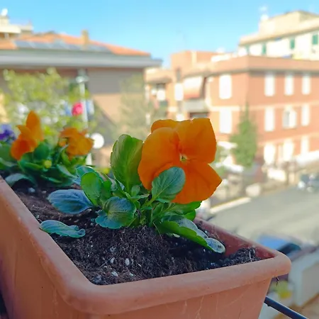 Gemelli Garden House * 로마